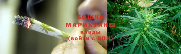 сатива Надым