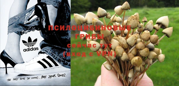 таблы Михайловка