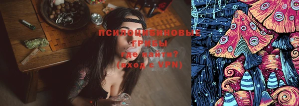 сатива Надым