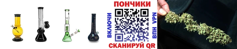 Купить закладки  Севск  Бошки Шишки планчик 